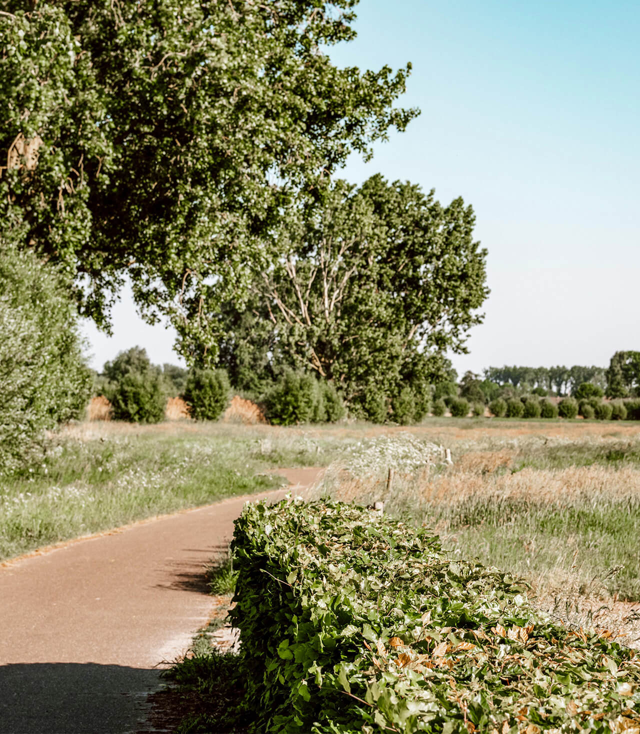 wandelroutes-buitengebied wandelroutes-buitengebied