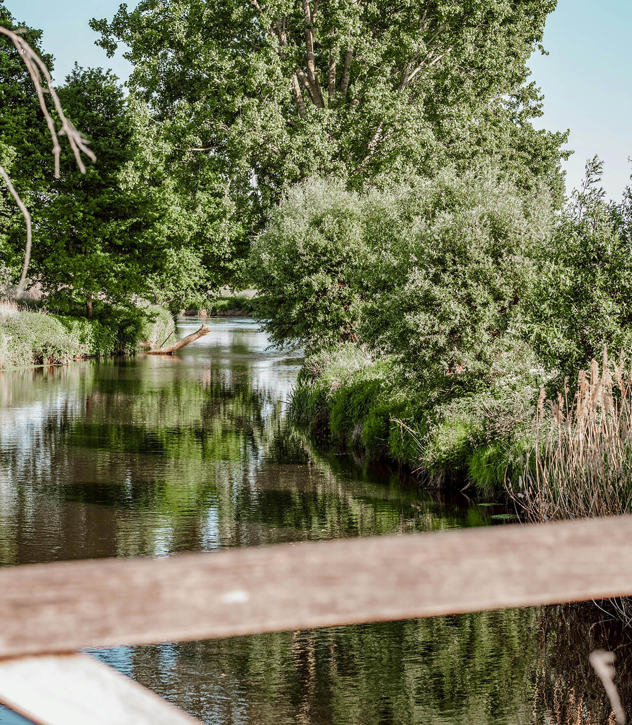 wandelroutes-st-oedenrode wandelroutes-st-oedenrode